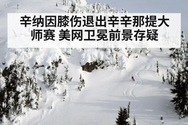 辛纳因膝伤退出辛辛那提大师赛 美网卫冕前景存疑